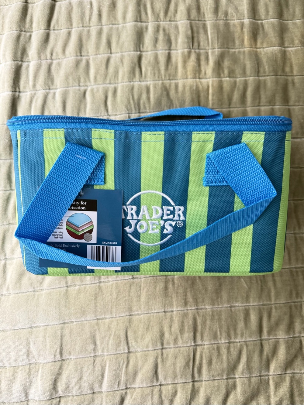 Trader Joe's Blue & Green Striped Insulated Lunch Tote